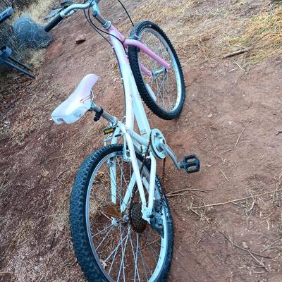 Girl's Trek Mountain Bike MT200