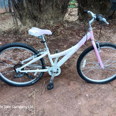 Girl's Trek Mountain Bike MT200