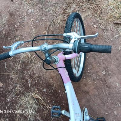 Girl's Trek Mountain Bike MT200