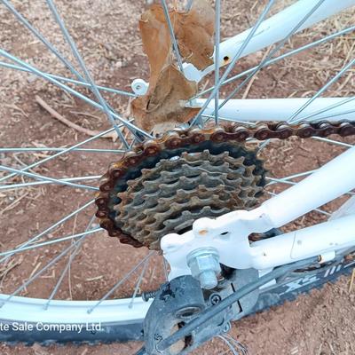 Girl's Trek Mountain Bike MT200
