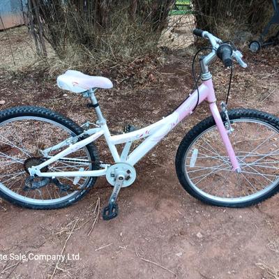 Girl's Trek Mountain Bike MT200