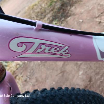 Girl's Trek Mountain Bike MT200