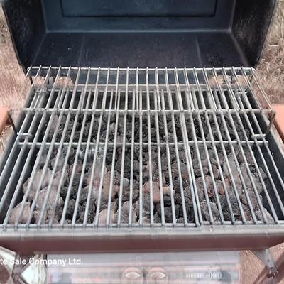 Nice Turco electronic ignition Electro light grill with propane tank, cover and lava rock