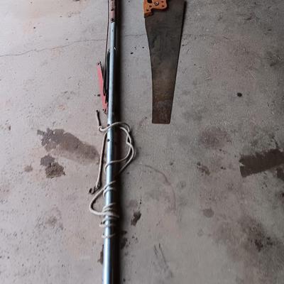 Hand saw and long bar trimmers / loppers.