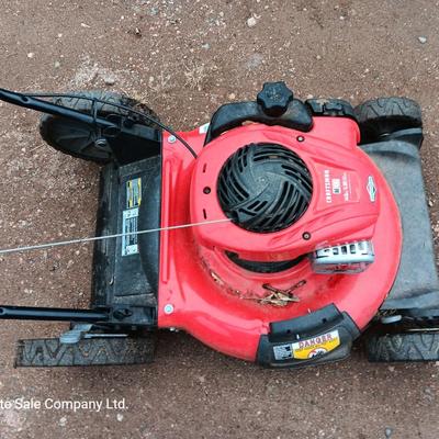 Craftsman M100 Briggs and Stratton engine 140cc
