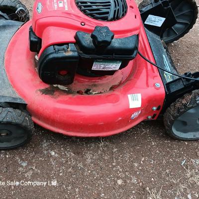 Craftsman M100 Briggs and Stratton engine 140cc