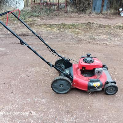 Craftsman M100 Briggs and Stratton engine 140cc