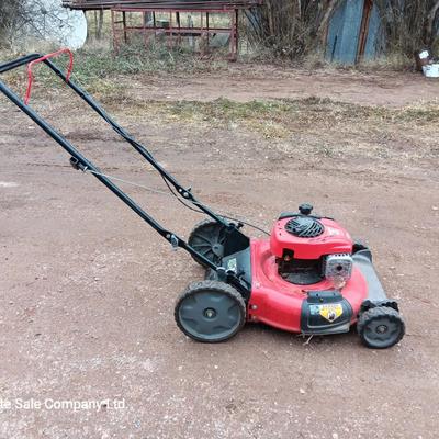 Craftsman M100 Briggs and Stratton engine 140cc