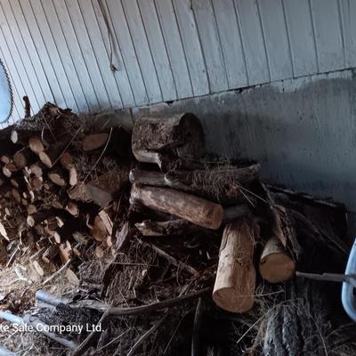 Lots of firewood large to small pieces