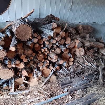 Lots of firewood large to small pieces