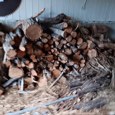 Lots of firewood large to small pieces