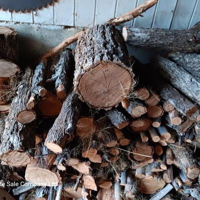 Lots of firewood large to small pieces