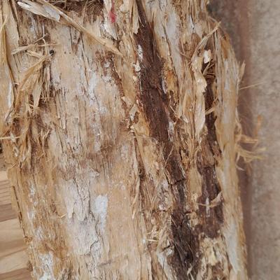 Crafting wood pieces for crafts and decor