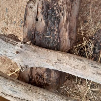 Crafting wood pieces for crafts and decor