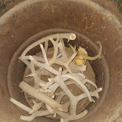 Steel barrel with older Antlers for crafting inside
