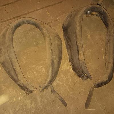 Antique Horse collars
