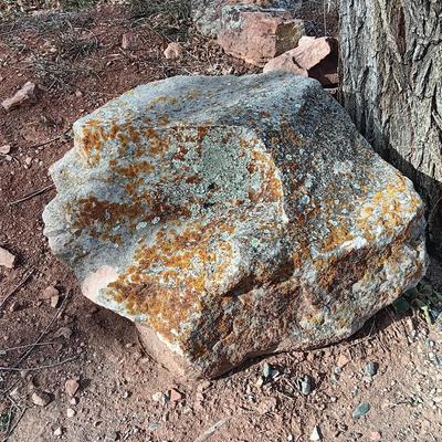 Large moss rock landscape boulder