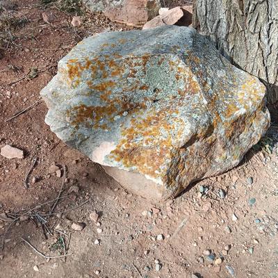 Large moss rock landscape boulder
