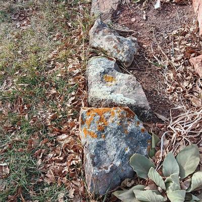 Variety of smaller landscaping moss rocks