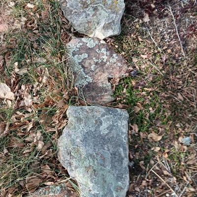 Variety of smaller landscaping moss rocks