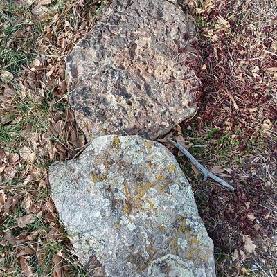 Variety of smaller landscaping moss rocks