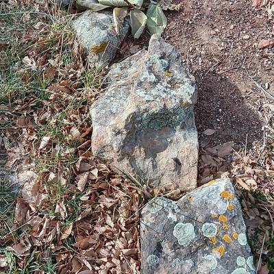 Variety of smaller landscaping moss rocks