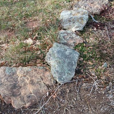 Variety of smaller landscaping moss rocks