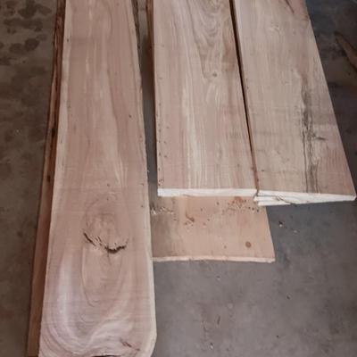 Beautiful crafting construction wood pieces - some beetle kill