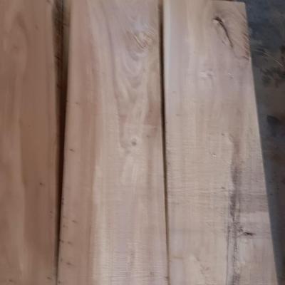 Beautiful crafting construction wood pieces - some beetle kill