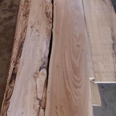 Beautiful crafting construction wood pieces - some beetle kill