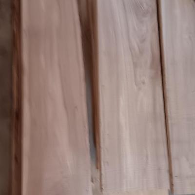 Beautiful crafting construction wood pieces - some beetle kill