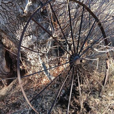 Antique 54" metal wheel in good condition - yard art