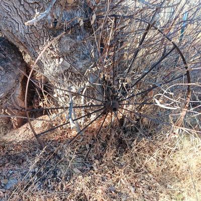 Antique 54" metal wheel in good condition - yard art