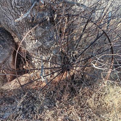 Antique 54" metal wheel in good condition - yard art