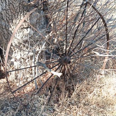 Antique 54" metal wheel in good condition - yard art