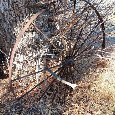 Antique 54" metal wheel in good condition - yard art