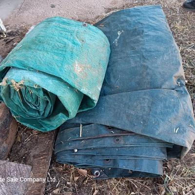 Two tarps well used, but still have life