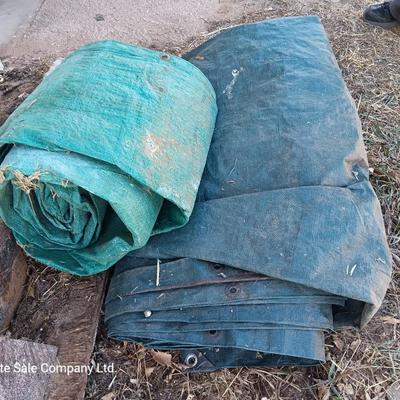 Two tarps well used, but still have life