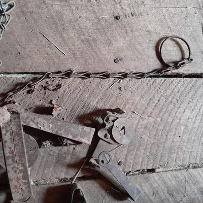 Vintage nonfunctioning animal steel traps and chains