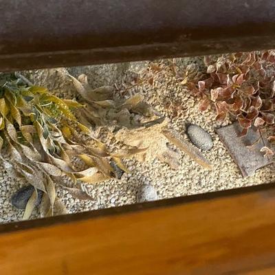 Large Fish Tank W/ Stand