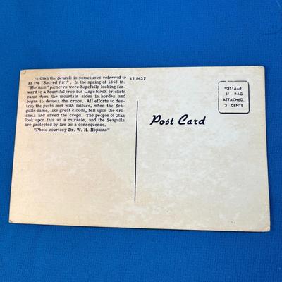 VINTAGE LINEN POSTCARD "SEAGULLS ON GREAT SALT LAKE"