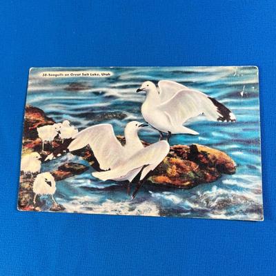 VINTAGE LINEN POSTCARD "SEAGULLS ON GREAT SALT LAKE"