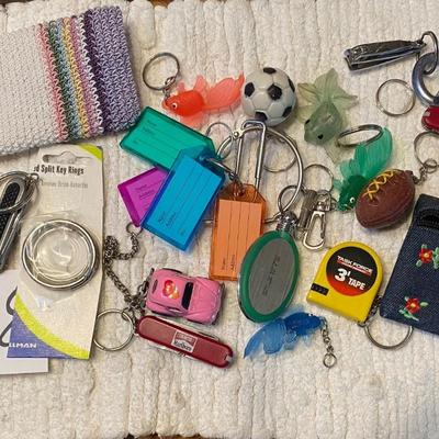 Key Ring Lot