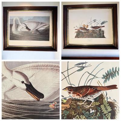 2 Vintage Prints Only by John James Audubon