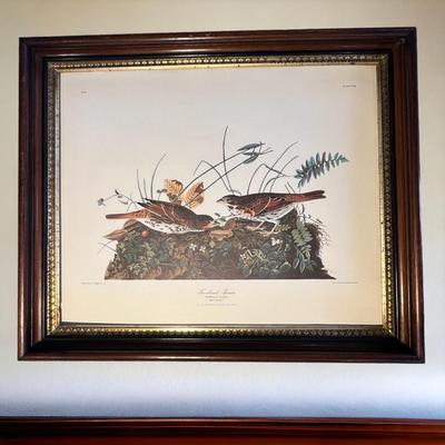 2 Vintage Prints Only by John James Audubon