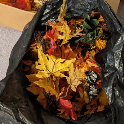 Falloween Assortment