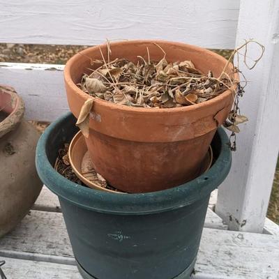 Planting Party