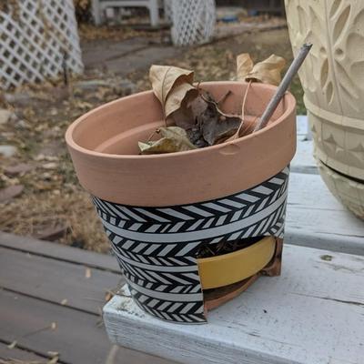 Planting Party