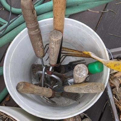 Planting Party
