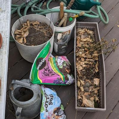 Planting Party